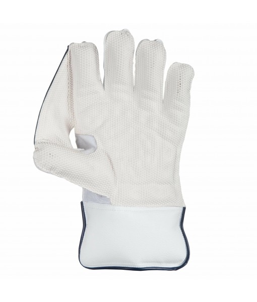 SG RSD XTREME WICKETKEEPING GLOVES